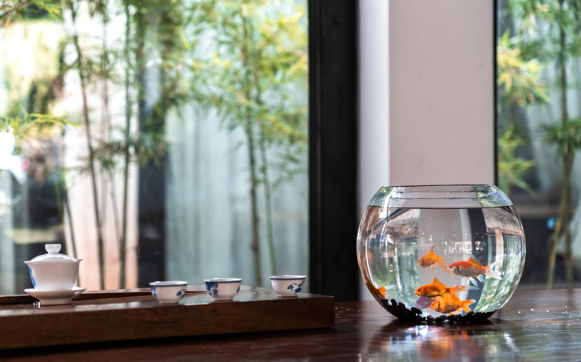 Lijiang Gemmer Hotel Екстер'єр фото